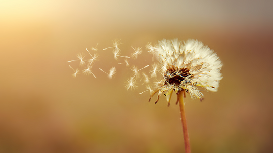 Breaking the Stigma: The Importance of Mental Health Awareness